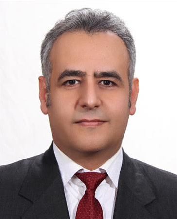 Professor Mohammad Mehdi Rashidi